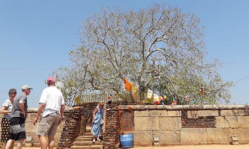 Anuradhapura-sri-maha-bodhi